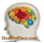 Subtiele afwijkingen in het hersencircuit Bevestigd bij ADHD