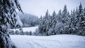 Trekt het koude weer je eetstoornis aan? Ontdek wat dit veroorzaakt en hoe u eetbuien in de winter kunt bestrijden. Lees dit.