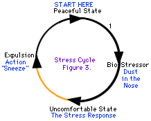 Sommige stresscycli zijn gemakkelijker te doorlopen dan anderen.