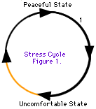 De stresscyclus gaat van een vredige staat naar een ongemakkelijke staat en terug naar een vredige staat