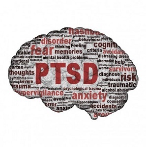 Trauma beïnvloedt de hersenen anders bij mensen die PTSS ontwikkelen. Maar maak je geen zorgen, herstel vindt plaats. Leer hoe de hersenen van PTSS-patiënten werken wanneer ze worden geconfronteerd met trauma. 