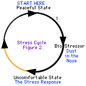 Sommige stresscycli zijn gemakkelijker te doorlopen dan anderen