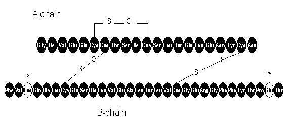 Structurele formule van Apidra