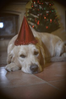 Het feestseizoen kan zwaar zijn als je depressief bent. Hier zijn enkele suggesties die u kunnen helpen om de feestdagen intact te doorstaan.
