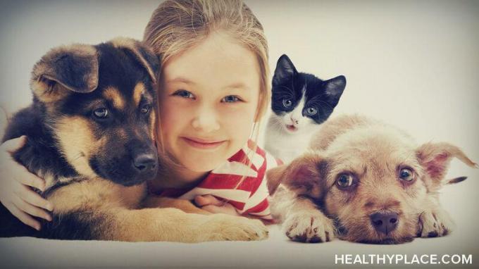 steun dieren helpen geestelijke gezondheid.jpg